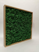 Load image into Gallery viewer, Moss picture with frame 50x50cm
