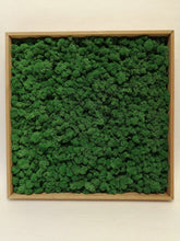 Load image into Gallery viewer, Moss picture with frame 50x50cm
