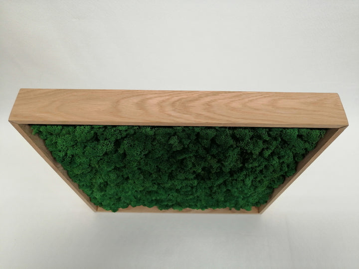 Slika od mahovine s okvirom 50x50cm