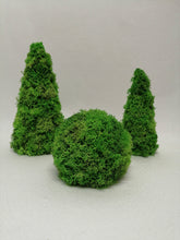 Load image into Gallery viewer, Moss table decor - Set 4
