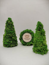 Load image into Gallery viewer, Moss table decor - Set 3

