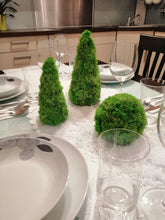 Load image into Gallery viewer, Moss table decor - Set 3
