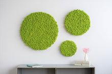 Load image into Gallery viewer, Moss circle 80 cm without frame
