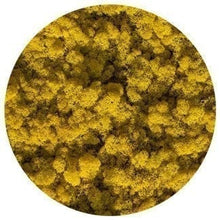Load image into Gallery viewer, Moss picture with frame 52x27cm - L
