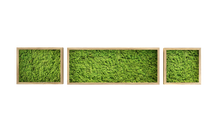 Load image into Gallery viewer, Moss painting with frame 37x18cm - M
