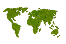 Load image into Gallery viewer, Map of the world made of moss 200x120cm - M
