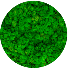 Load image into Gallery viewer, Moss ball 17cm
