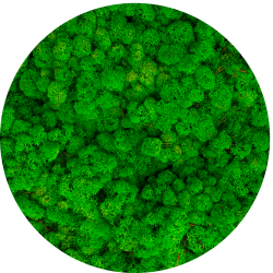Moss ball 17cm