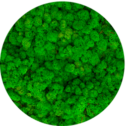 Hexagon Beehive with moss 33x29cm